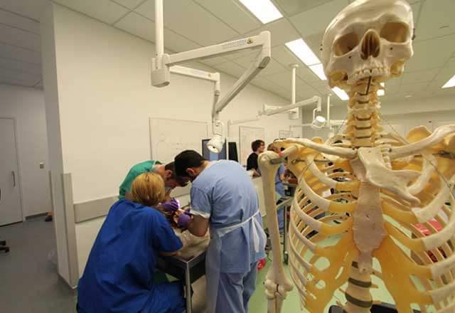 skeleton and students in a laboratory